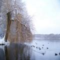 Zeesener Badestelle im Winter (tn_100_3999.jpg) Zeesner See im Landkreis Dahme Spreewald